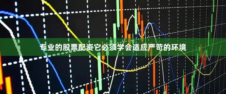 专业的股票配资它必须学会适应严苛的环境